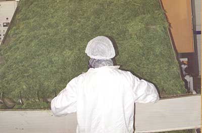 Drying Process Image