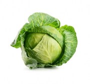 cabbage