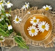 chamomile