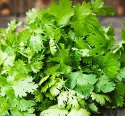 coriander-leaves