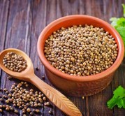 coriander-seeds2