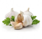 garlic8